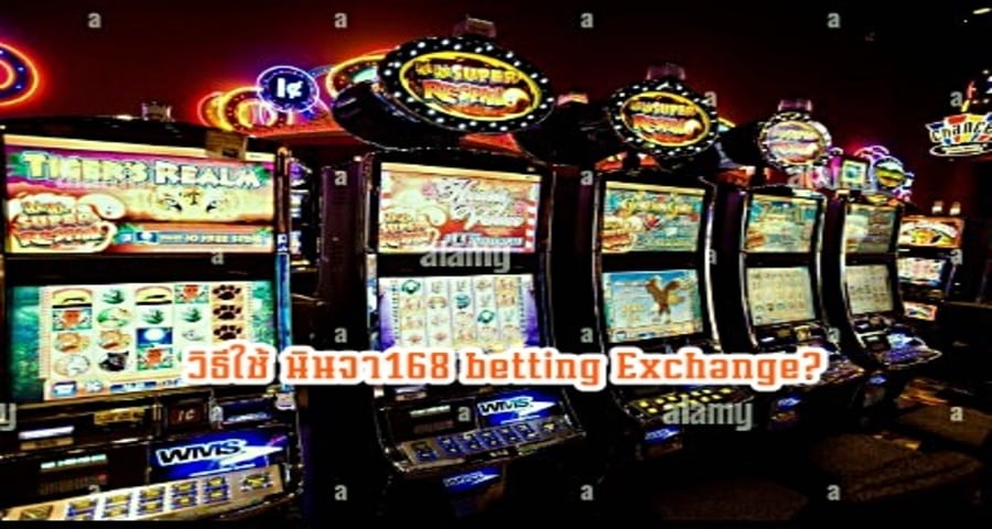วิธีใช้ นินจา168 betting Exchange